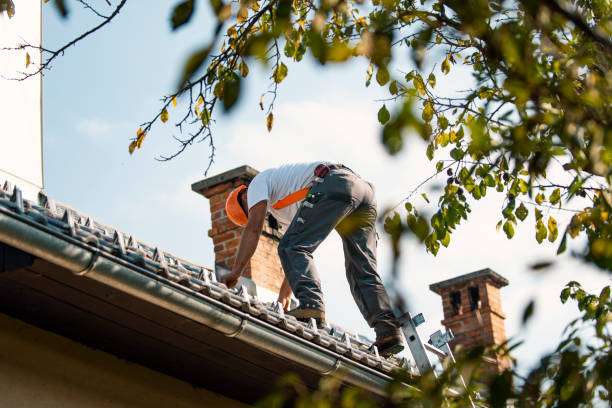 Roof Moss and Algae Removal